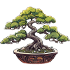 Bonsai