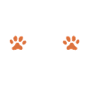 Taxpayer tax office pay tax