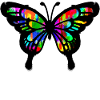 Graffiti Art Butterfly Illustration Drawing