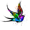 Bird Art Graffiti Drawing Illustration