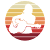 Guitarist Sunset Gift Harmony