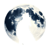 Wolf Howling At Full Moon