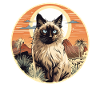 Chat balinais Balinesenkatze