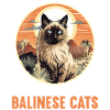 Chat balinais Balinesenkatze