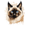 Chat balinais Balinesenkatze