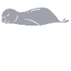 Offizelles Schlafshirt Faultier