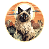 Chat balinais Balinesenkatze