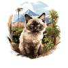 Balinese Cat Balinesenkatze