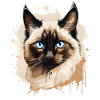 Balinese Cat Balinesenkatze