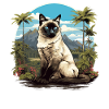 Balinese Cat Balinesenkatze