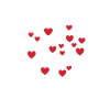 Bichon