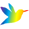 Kolibri bunt