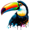 Toucan
