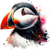 Puffin