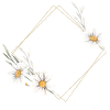 Team Bride | Hen night