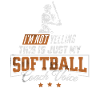 Mein Softball-Trainer-Sprachgeschenk