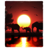 Elephant Wildlife