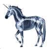 Einhorn X-Ray
