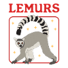 Lémuriens Ringtail lémurien cadeau