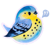 Titmouse