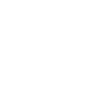Wedding bridal couple leash