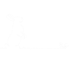 Lapin géant continental