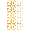 Year 2017