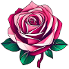 Rosa Rose III