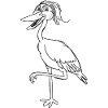 Common crane