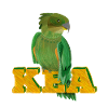 Kea Mountain parrot