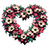 Cherry Blossom