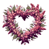Lilac Flower Bush