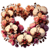 Orchids