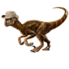 Raptor Ranger