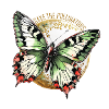 Sauvons les pollinisateurs - Papillon vert