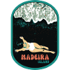 Illustrazione che bagna la spiaggia di sabbia nera, Madeira