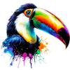 Toucan