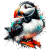 Puffin