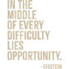 Opportunity