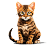 Bengal Cat Bengalkatze
