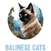 Chat balinais Balinesenkatze