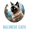 Balinese Cat Balinesenkatze