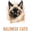 Chat balinais Balinesenkatze