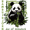 Bambusbjörn - Panda - Wildtier