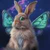 Lièvre 🐇