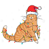 Chat Noël