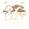 Sloth Sloths Sleep Lazy