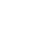 Life Socks