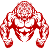 Tiger Bodybuilding Muscles