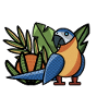 Parrot Macau Macao tropical ararauna